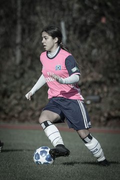 Bild 2086 - B-Juniorinnen Halstenbek-Rellingen - Hamburger SV 2 : Ergebnis: 3:8